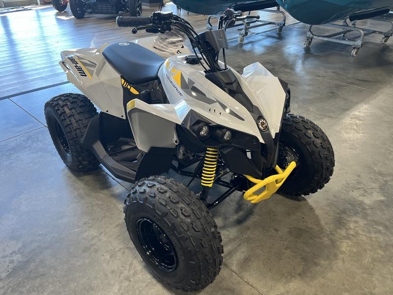 2026 CAN-AM Renegade 110 EFI ATV