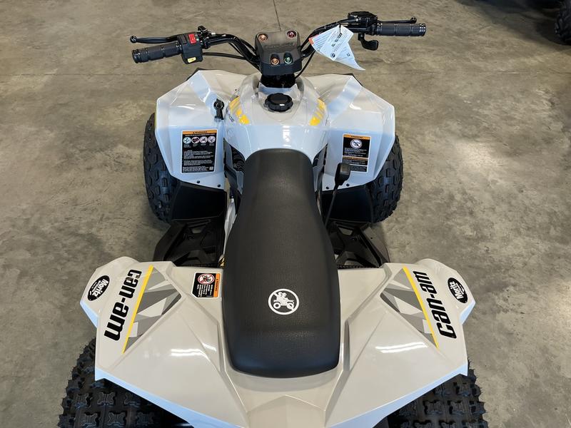 2026 CAN-AM Renegade 110 EFI ATV
