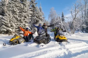 Read more about the article Snowmobile Types