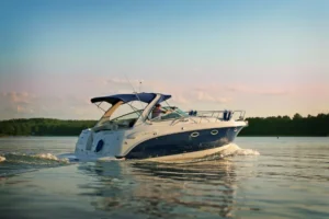 Read more about the article A Guide to Buying the Perfect Bowrider Boat